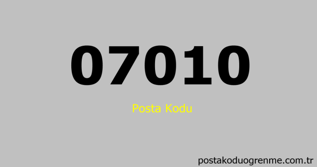 07010